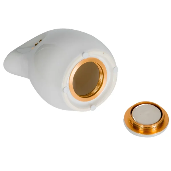 Pet Ash Keepsakes – A Ceramic Cat Paw Urn That Honors Their Memory - 图片 2